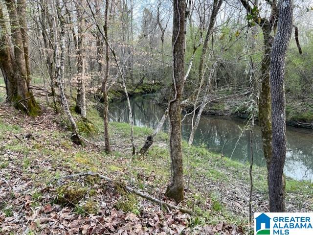 1837 Westover Road Sterrett, AL 35147 - Photo 3 of 14