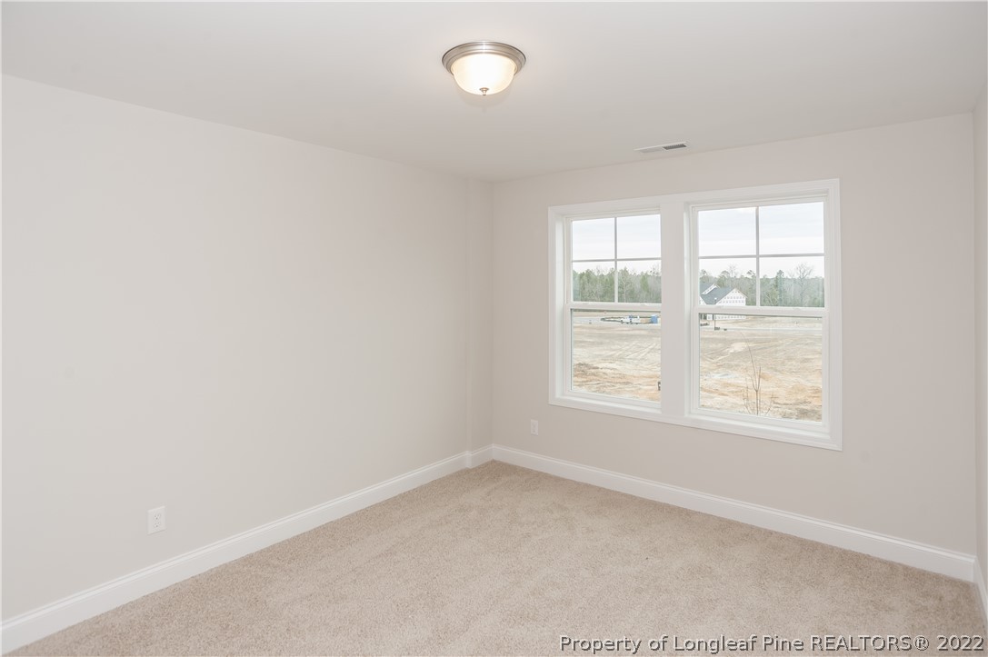 201 Haynes Church Road Raeford, NC 28376 - Photo 40 of 42 Gallery Image 40