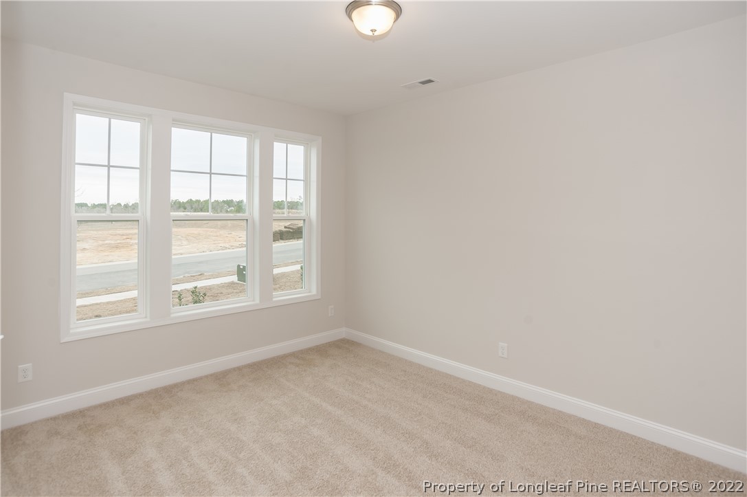 201 Haynes Church Road Raeford, NC 28376 - Photo 6 of 42 Gallery Image 6