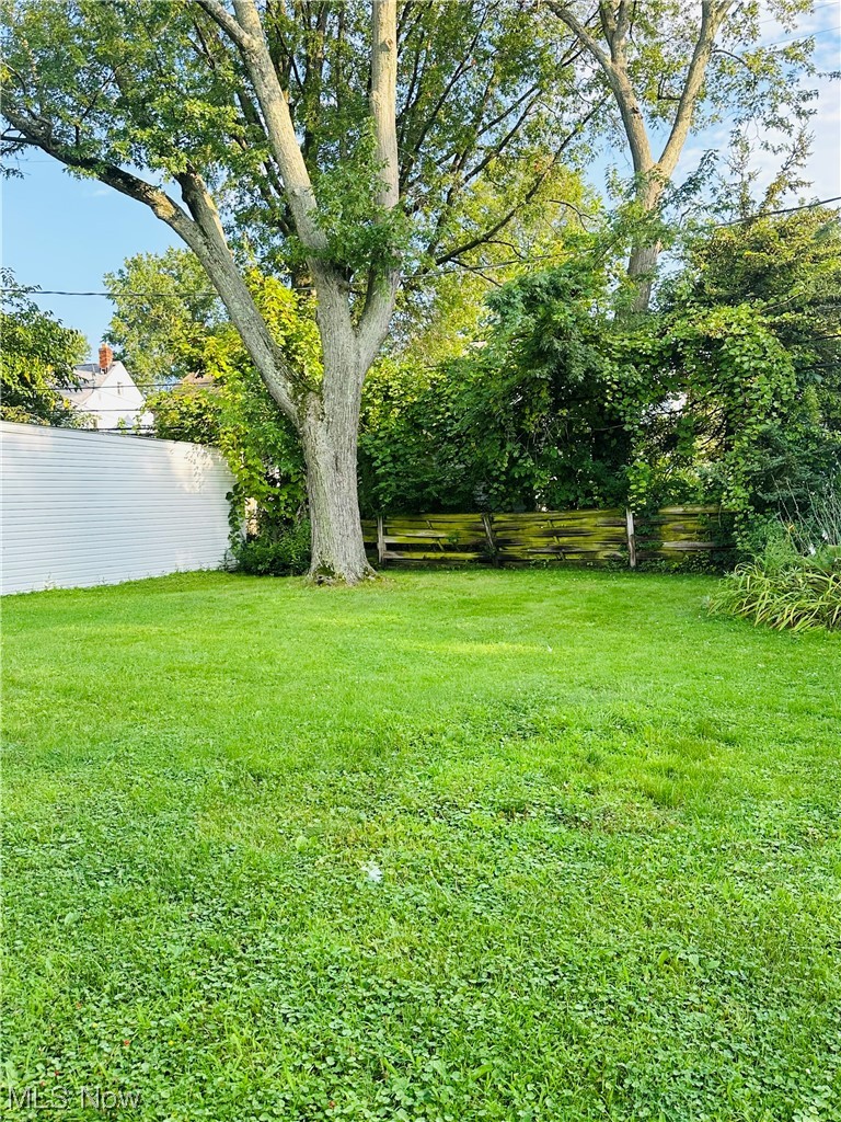 3894 Salisbury Road South Euclid, OH 44121 - Photo 16 of 16 View of yard