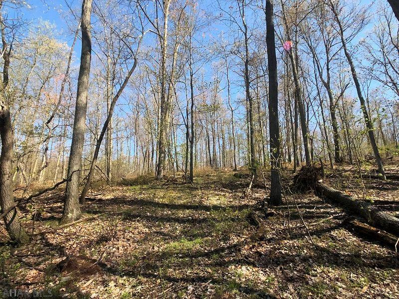 Lot 7 Baughman Cemetery Road Tyrone, PA 16686 - Photo 21 of 23 Gallery Image 21