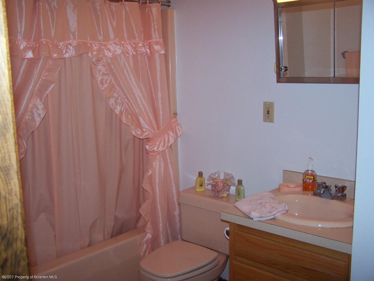 3300 Northgate Road Lake Ariel, PA 18436 - Photo 4 of 11 a bathroom with a sink a toilet and shower curtain