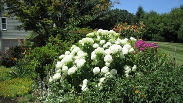 101 Nashaway Road Bolton, MA 01740 - Photo 29 of 30 Gallery Image 29