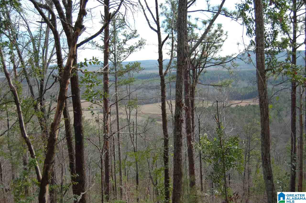 200-acres High Road, Unit 200 ACRES Pell City, AL 35128 - Photo 16 of 17