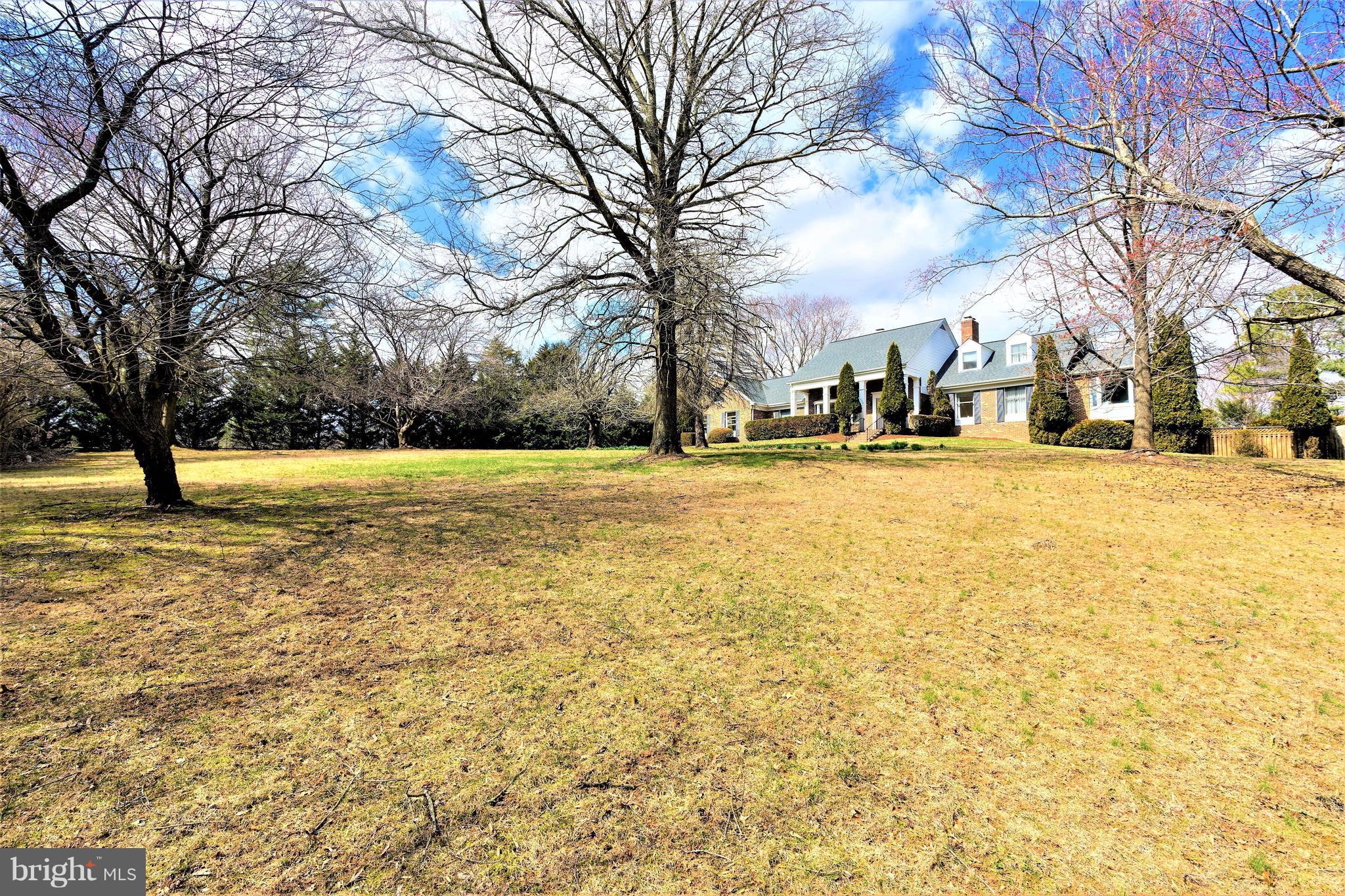 Front yard