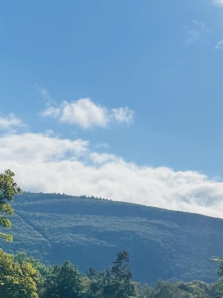 219 High Street, Unit 3 Brattleboro, VT 05301 - Photo 16 of 23