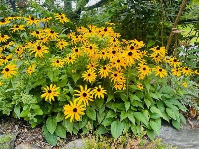 219 High Street, Unit 3 Brattleboro, VT 05301 - Photo 19 of 23