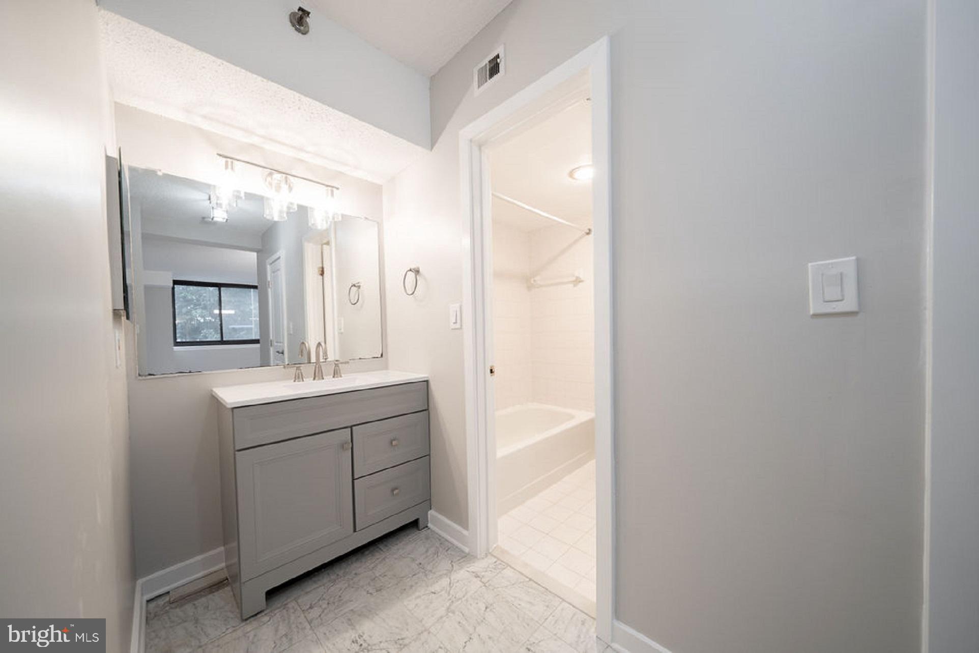 5505 Seminary Road, Unit 103N Falls Church, VA 22041 - Photo 14 of 59 a bathroom with a double vanity sink and mirror