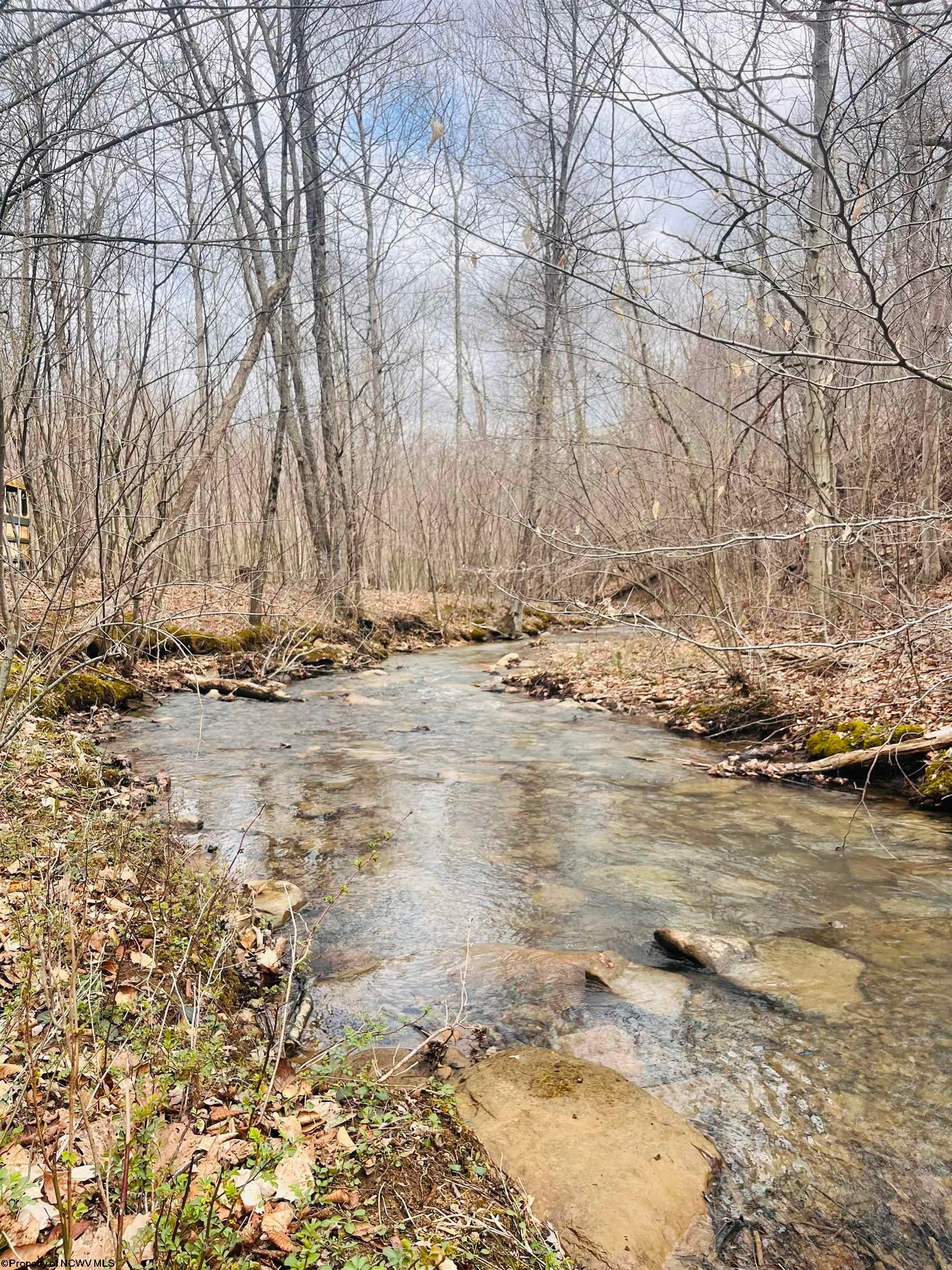 Tbd Sugar Valley Road Bruceton Mills, WV 26525 - Photo 4 of 16 Gallery Image 4