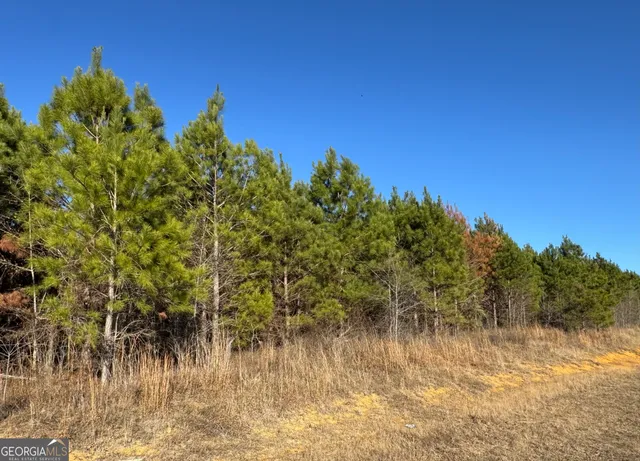 $234,900 | Lot 5 A Whitfield Road, Elko, GA 31025