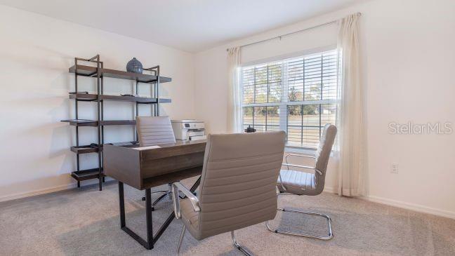 Tbd English Parrot Road Weeki Wachee, FL 34614 - Photo 15 of 19