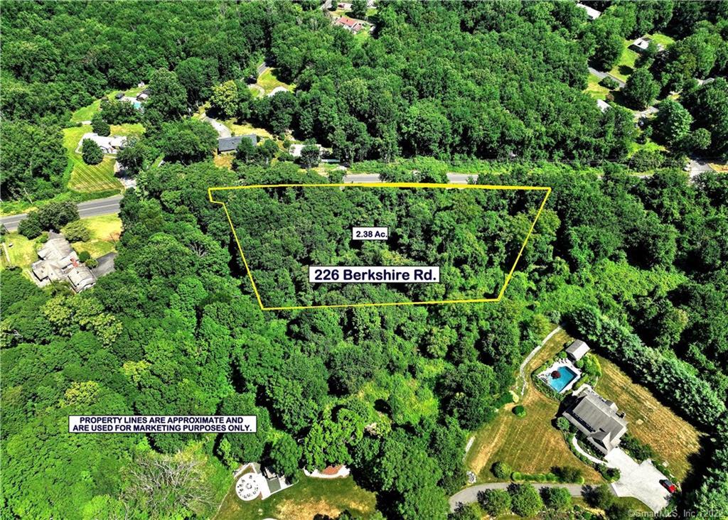 a view of a garden with a tree