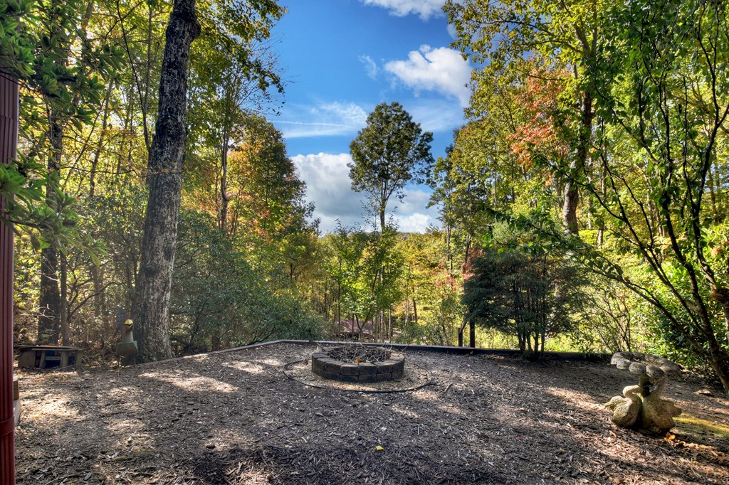 240 Lower Prince Mountain Road Cherry Log, GA 30522 - Photo 41 of 45 a view of a backyard with trees