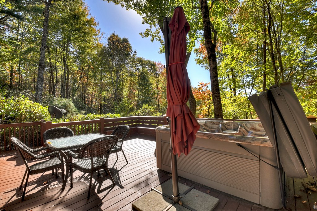 240 Lower Prince Mountain Road Cherry Log, GA 30522 - Photo 6 of 45 a view of balcony with furniture and garden