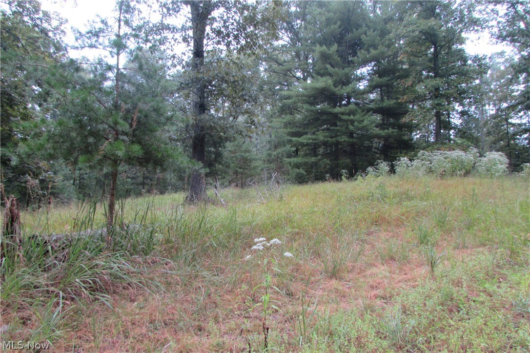 Leading Creek Road Big Springs, WV 26137 - Photo 7 of 10 Gallery Image 7