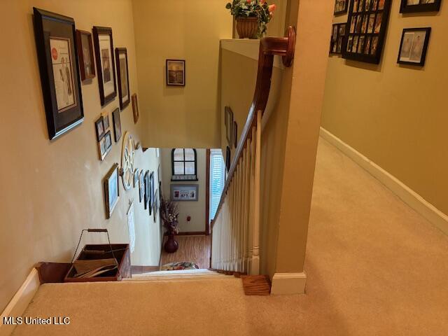 315 McLemore Road Walnut Grove, MS 39189 - Photo 27 of 38 IMG_5862