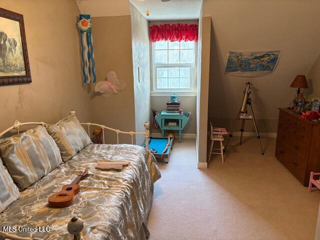 315 McLemore Road Walnut Grove, MS 39189 - Photo 28 of 38 IMG_5863