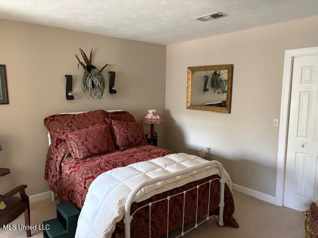 315 McLemore Road Walnut Grove, MS 39189 - Photo 29 of 38 IMG_5865