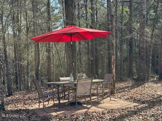 315 McLemore Road Walnut Grove, MS 39189 - Photo 31 of 38 IMG_5866