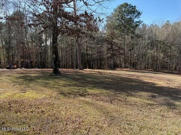 $335,000 | 315 McLemore Road, Walnut Grove, MS 39189