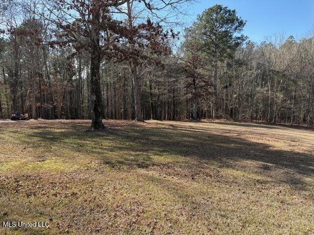 315 McLemore Road Walnut Grove, MS 39189 - Photo 32 of 38 IMG_5836