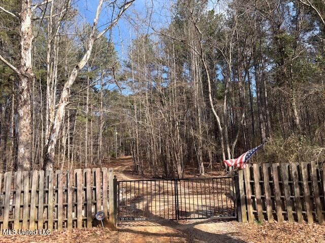 315 McLemore Road Walnut Grove, MS 39189 - Photo 37 of 38 IMG_5868