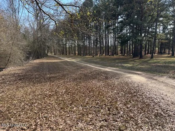 $335,000 | 315 McLemore Road, Walnut Grove, MS 39189