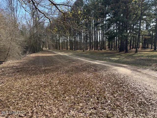 $335,000 | 315 McLemore Road, Walnut Grove, MS 39189