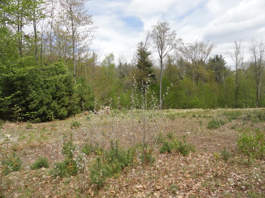 34-3 Osgood Road Lyndeborough, NH 03082 - Photo 2 of 9