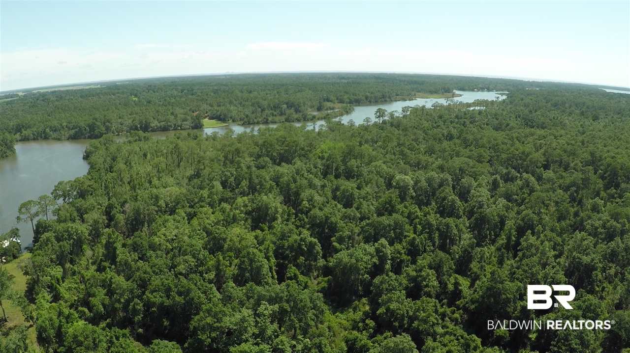 0 Burton Drive Foley, AL 36535 - Photo 3 of 6