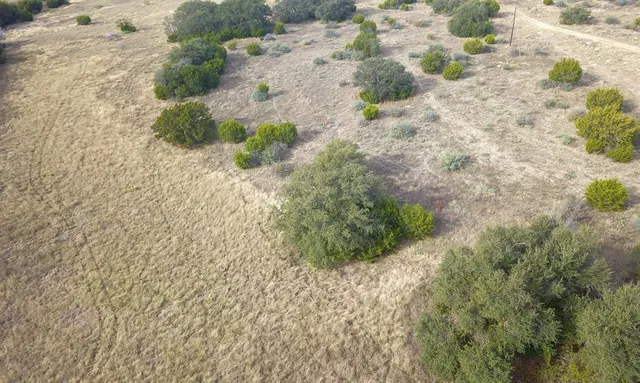 a view of a dry yard with trees