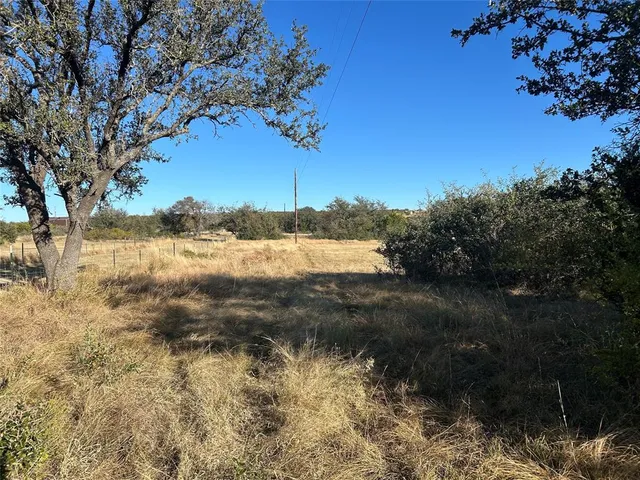 a view of a dry yard with trees