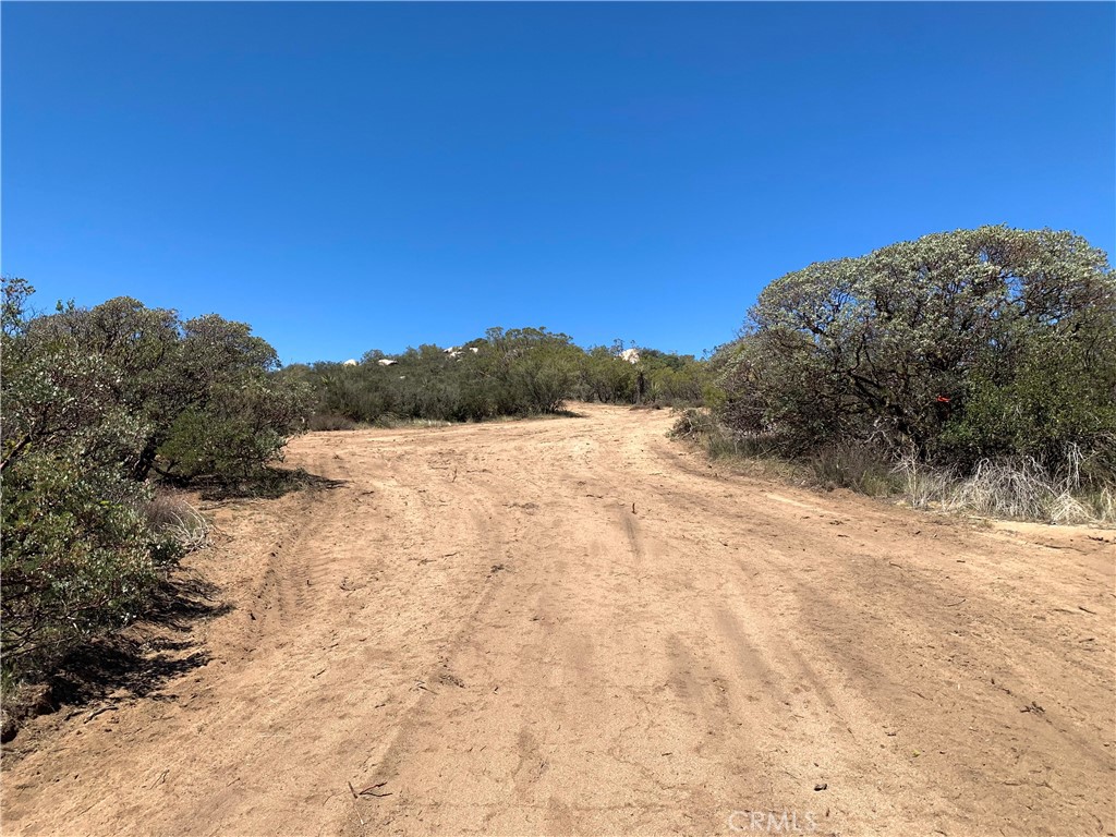 887 Forest Springs Road Aguanga, CA 92536 - Photo 16 of 35 a view of a road with a snow in the background
