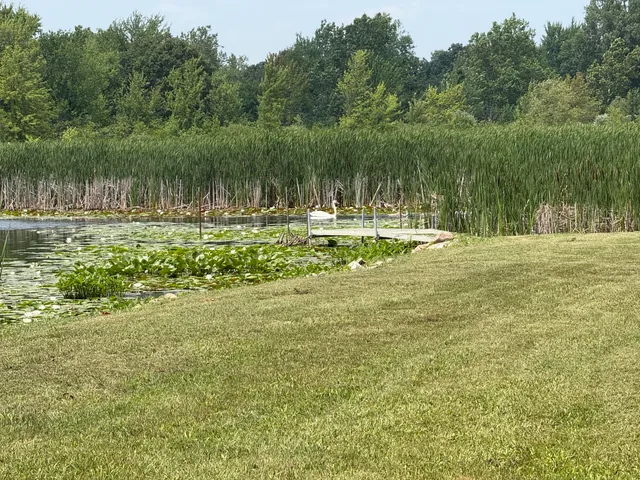 $225,000 | -- Leaf Lane, Coldwater, MI 49036