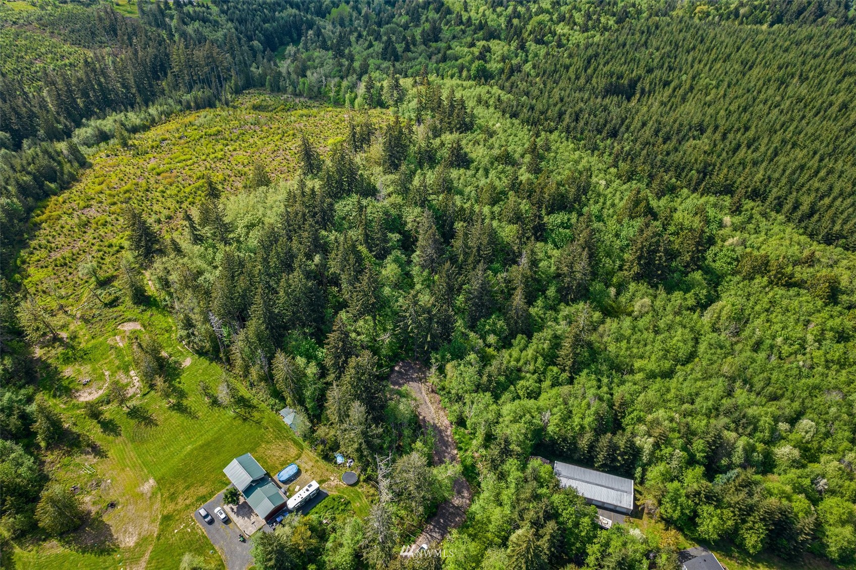 221 Valley Ridge Road Chehalis, WA 98532 - Photo 5 of 10 a view of a yard with plants and large trees