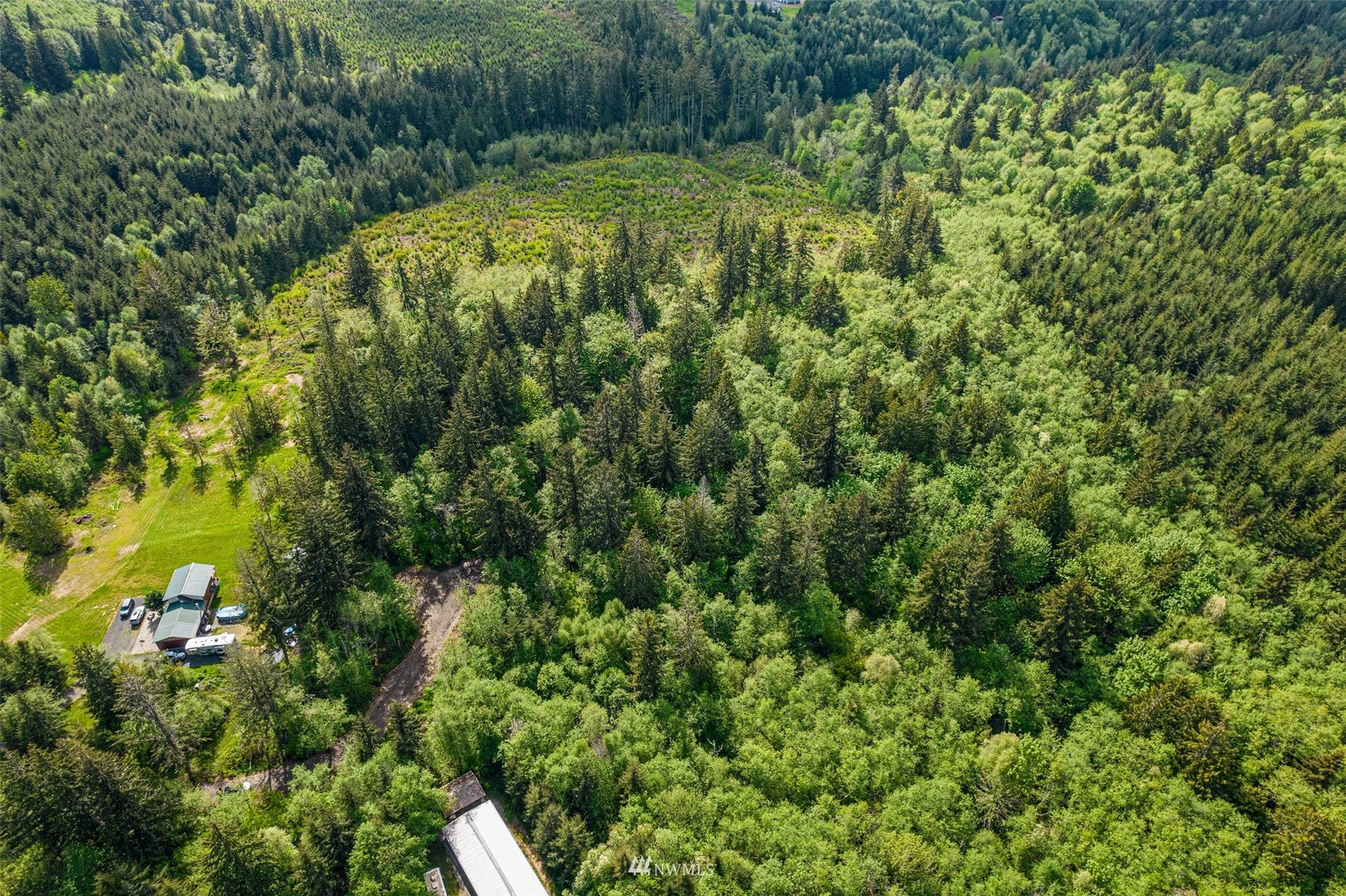 221 Valley Ridge Road Chehalis, WA 98532 - Photo 7 of 10 a aerial view of a houses with a lush green forest