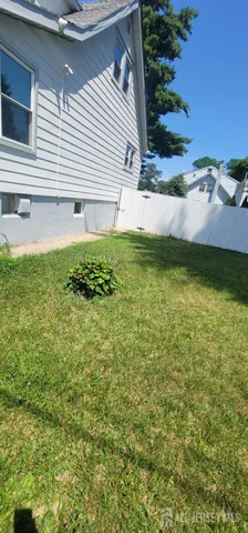 a view of a backyard with plants and large tree