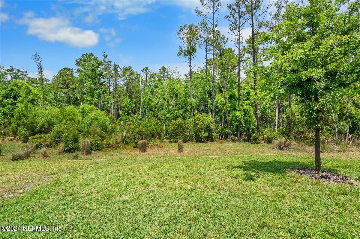 262 Clifton Bay Loop St. Johns, FL 32259 - Photo 34 of 57 a big yard with lots of green space and plants