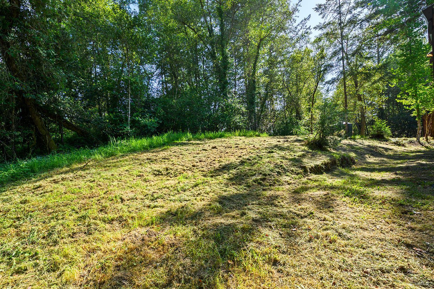 529 Wagnon Road Sebastopol, CA 95472 - Photo 41 of 59