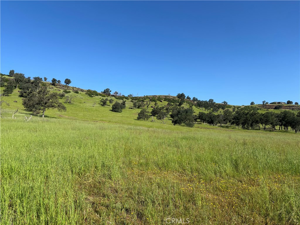 0 Cobble Creek Road Oroville, CA 95965 - Photo 28 of 55 a view of an outdoor space and a yard