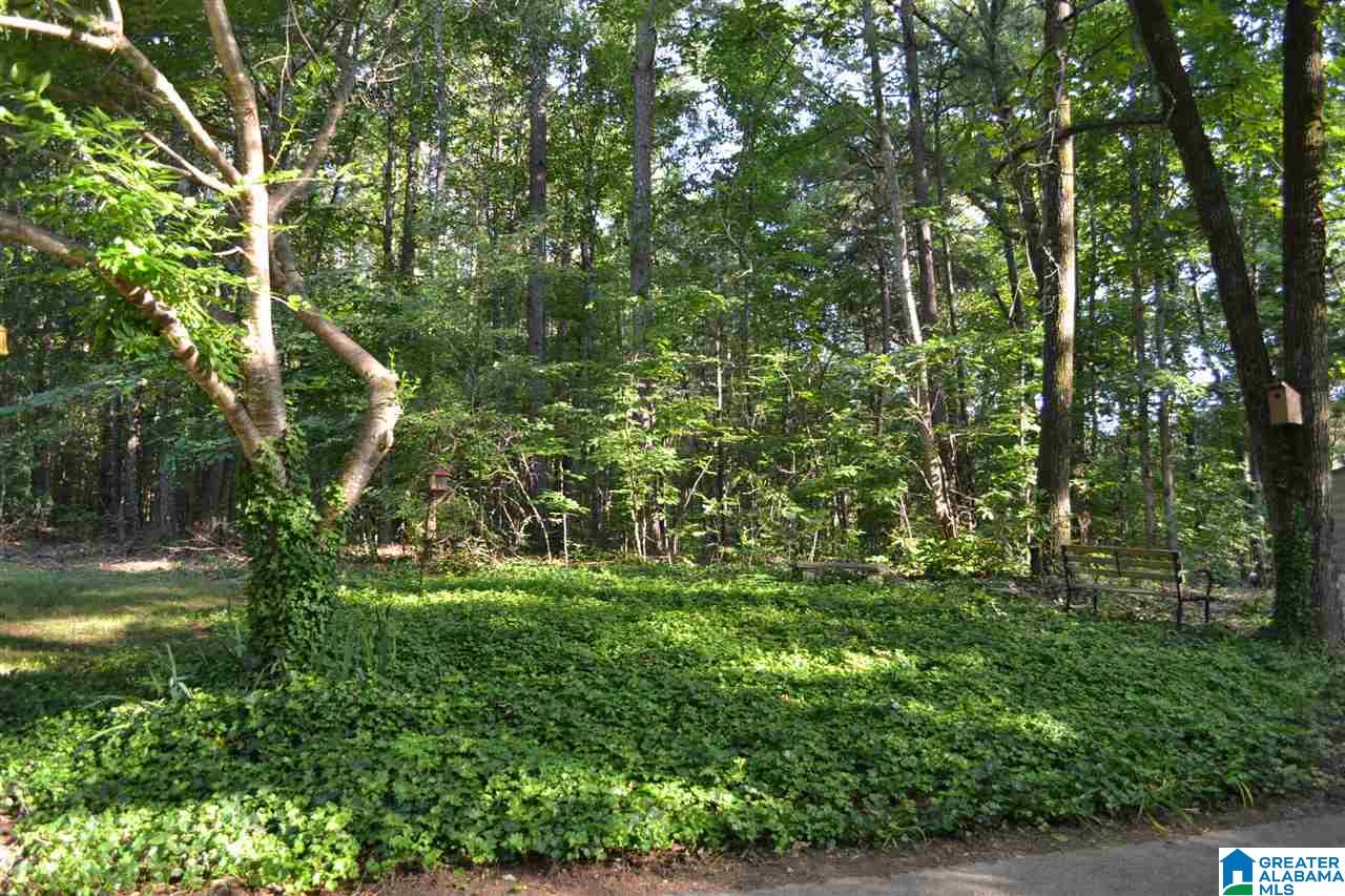 7847 Brookwood Road Pinson, AL 35126 - Photo 45 of 50