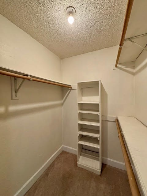 2 Purpletop Court Spring, TX 77381 - Photo 20 of 26