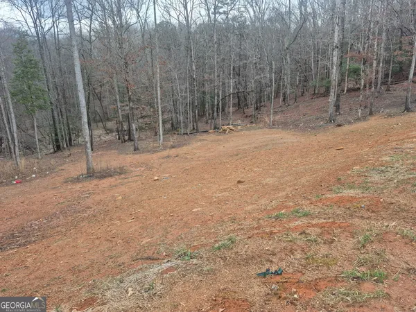 a view of a forest with trees in the background