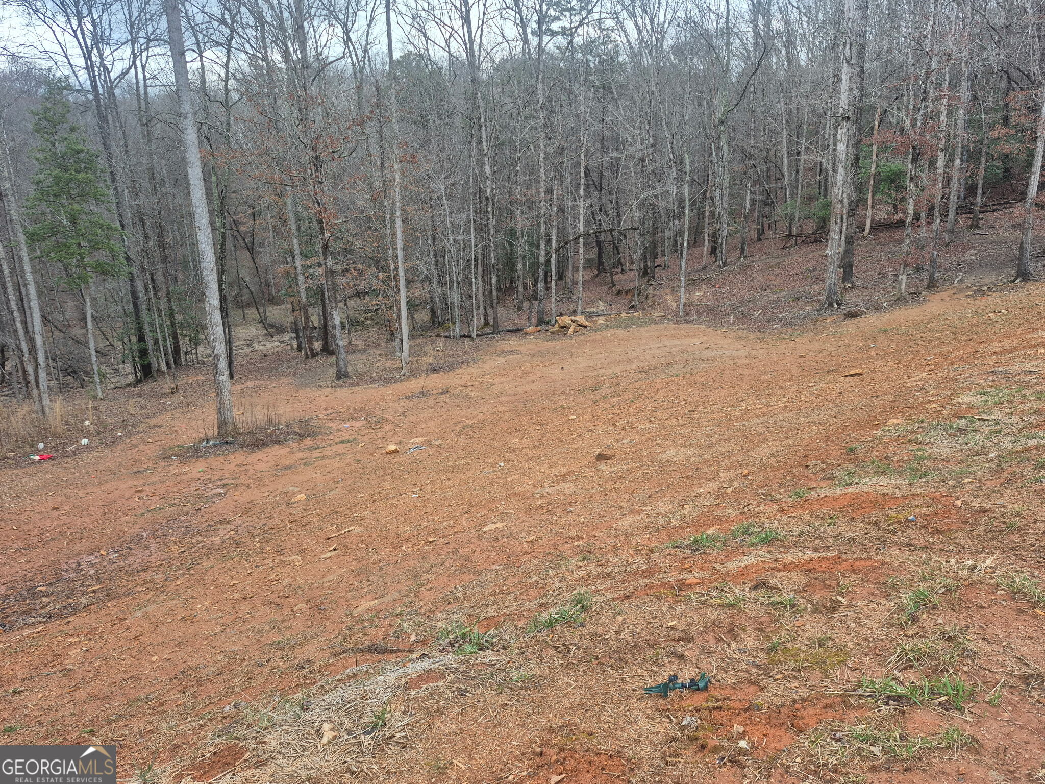 606 Old River Road Cornelia, GA 30531 - Photo 3 of 27 a view of a forest with trees in the background