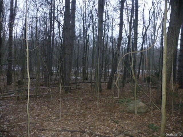 6 Jones Road North Branch, MI 48461 - Photo 8 of 14 Gallery Image 8