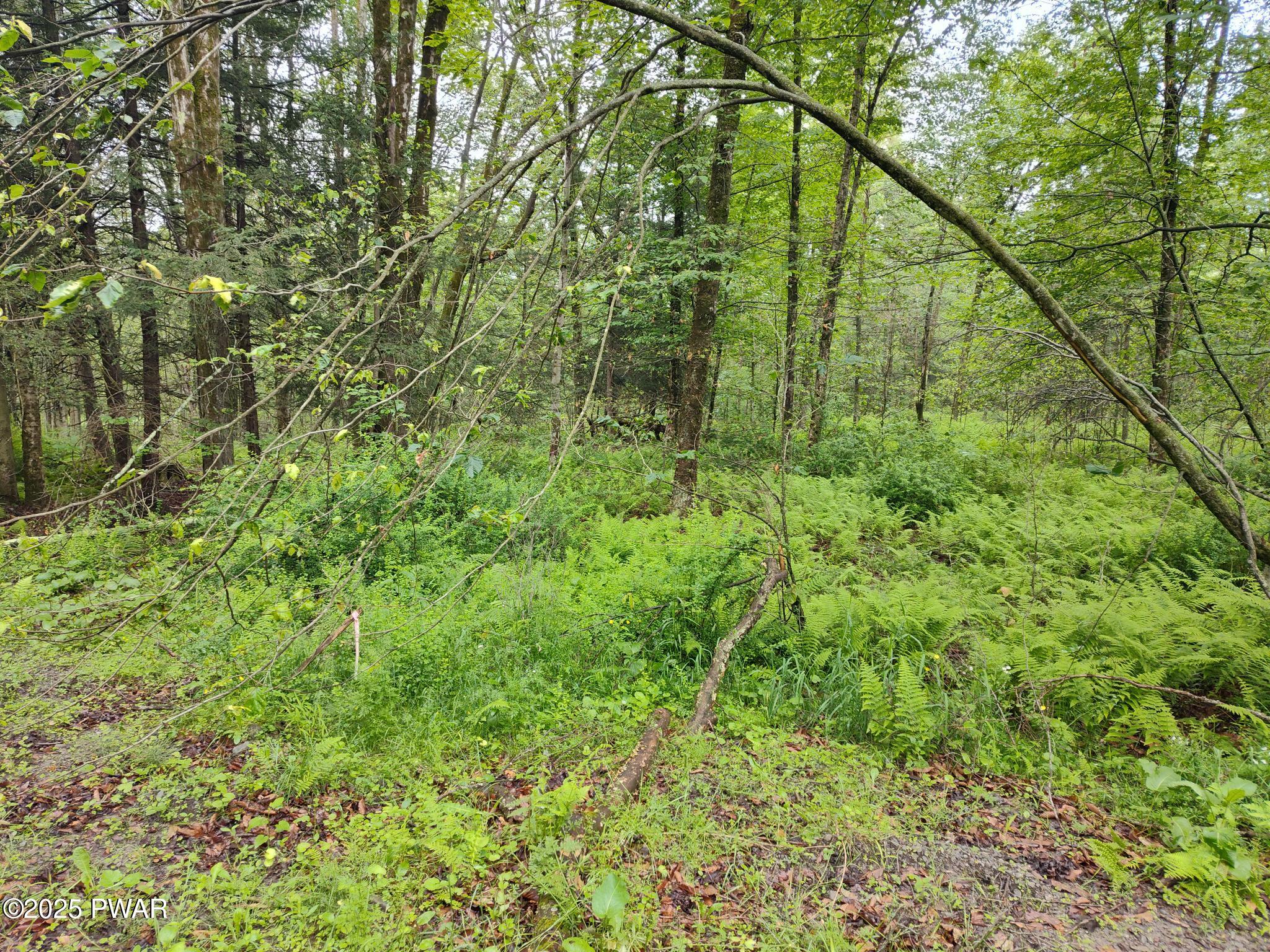 Lot 109 Aka) Gibralter Road Newfoundland, PA 18445 - Photo 15 of 19