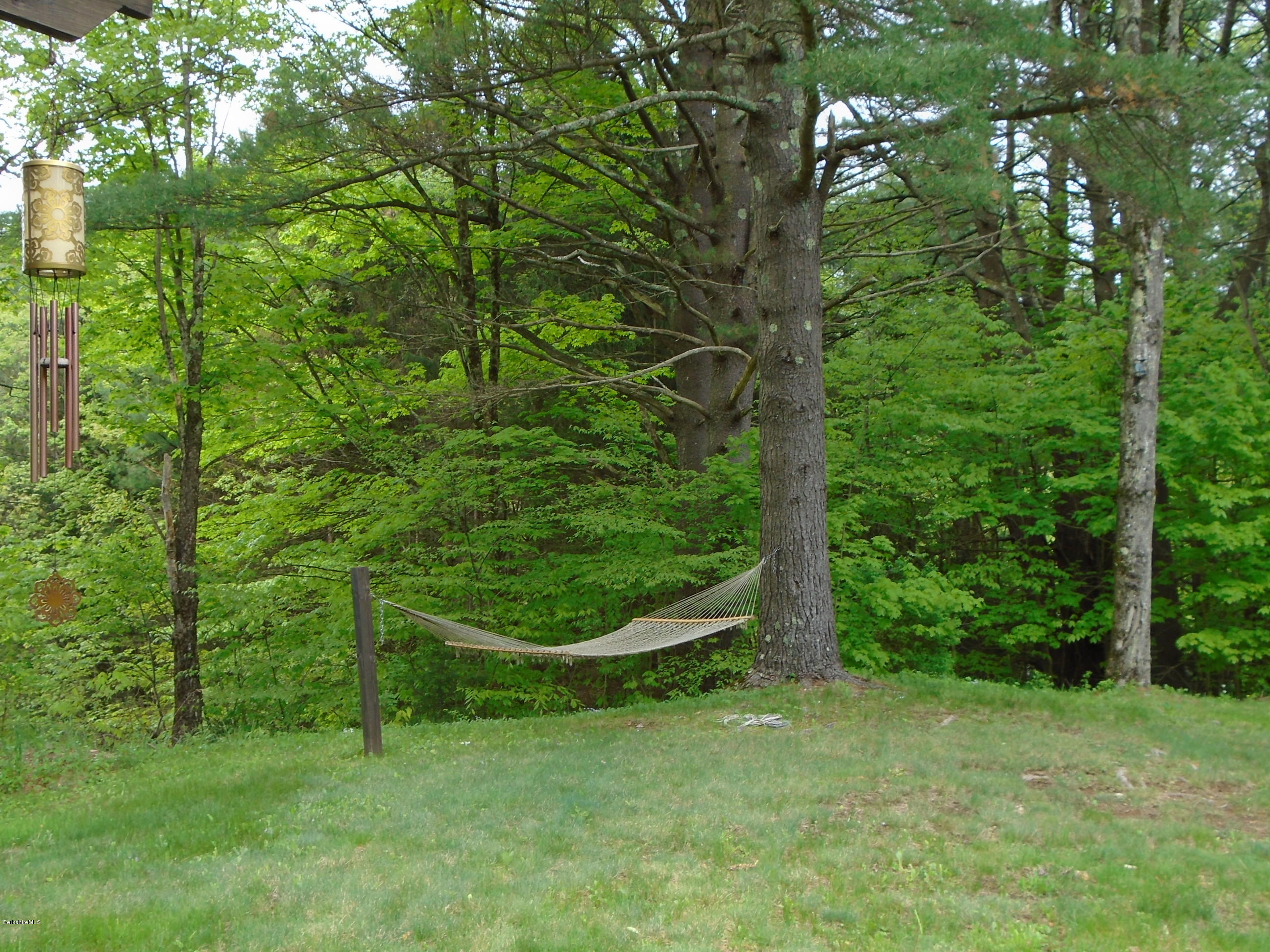 1350 South Main Road Otis, MA 01253 - Photo 50 of 56 a view of a field with a tree