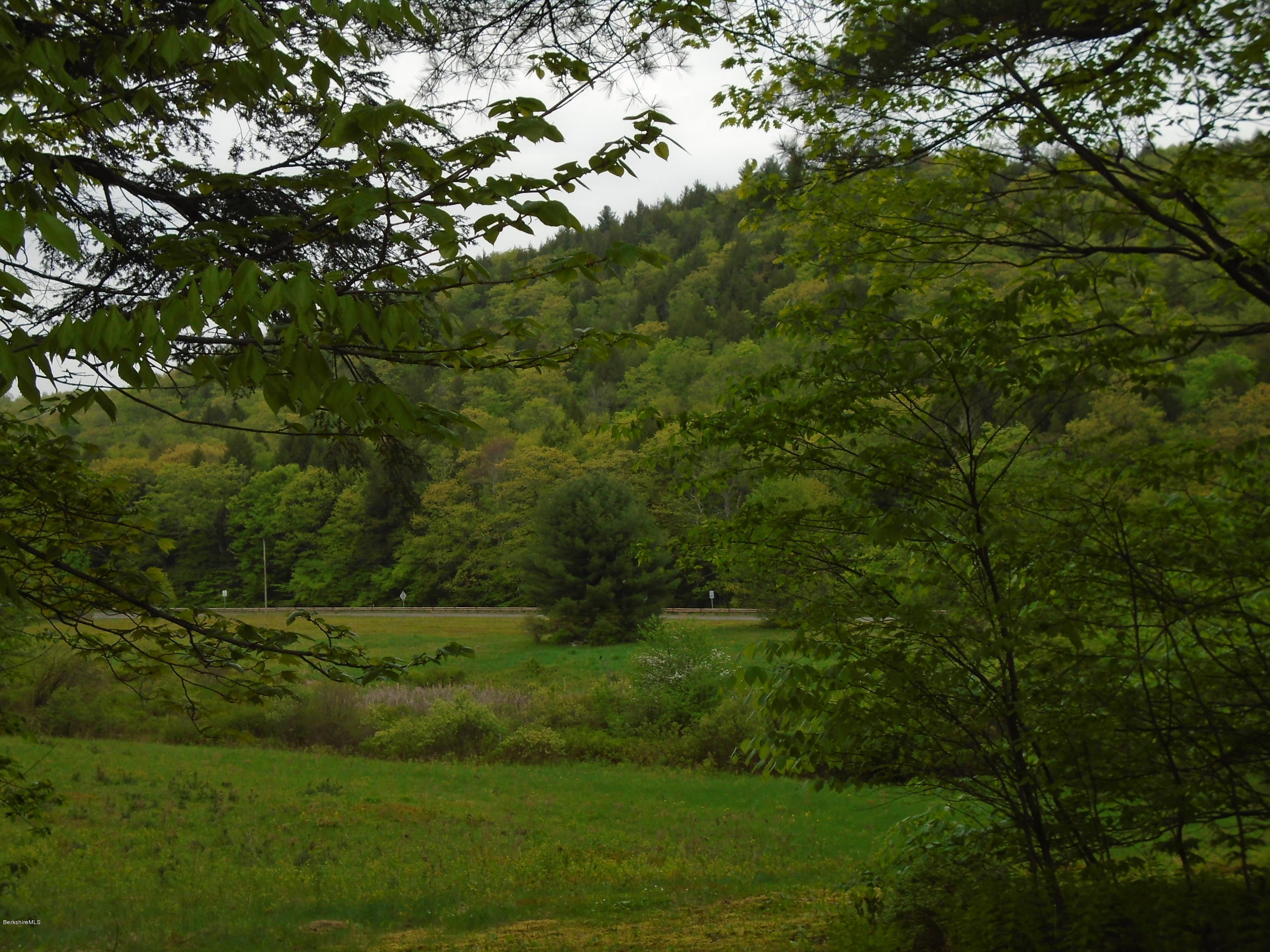 1350 South Main Road Otis, MA 01253 - Photo 51 of 56 a view of outdoor space and yard