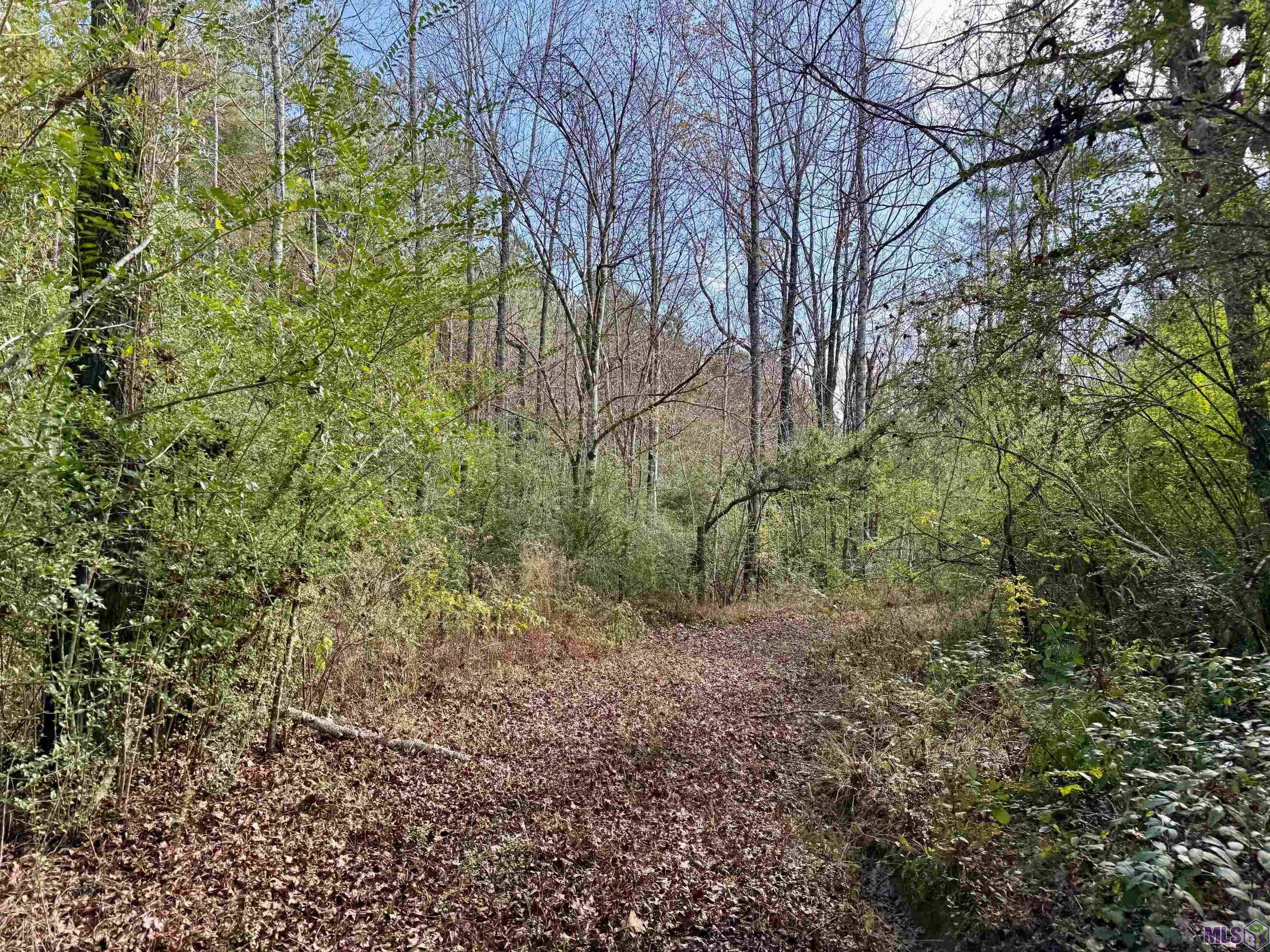 3947 Purvis Columbia Road Lumberton, MS 39455 - Photo 20 of 44 Gallery Image 20