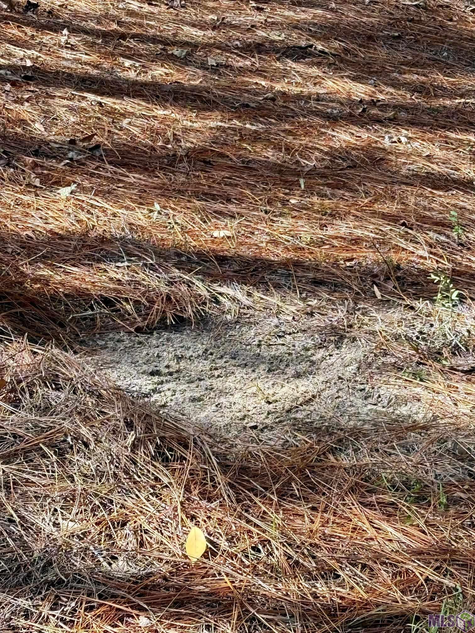 3947 Purvis Columbia Road Lumberton, MS 39455 - Photo 25 of 44 Gallery Image 25